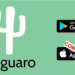 Congressional App Challenge Winner Saguaro