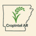 Congressional App Challenge Winner AR03 2025